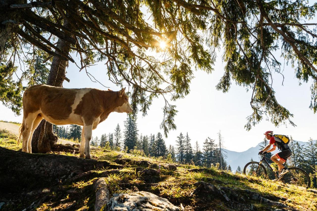 Pension Bergblick Ruhpolding Kültér fotó