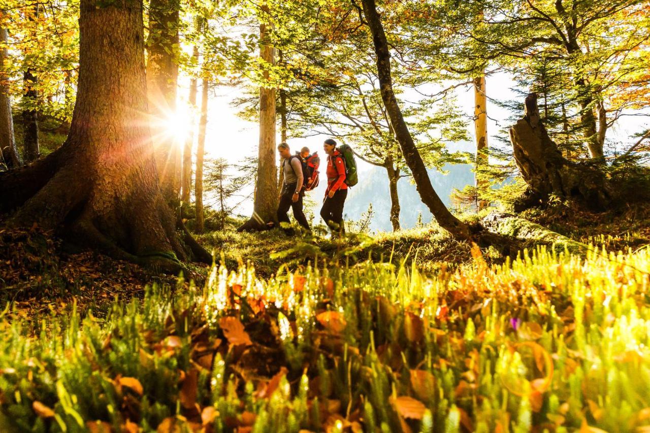 Pension Bergblick Ruhpolding Kültér fotó